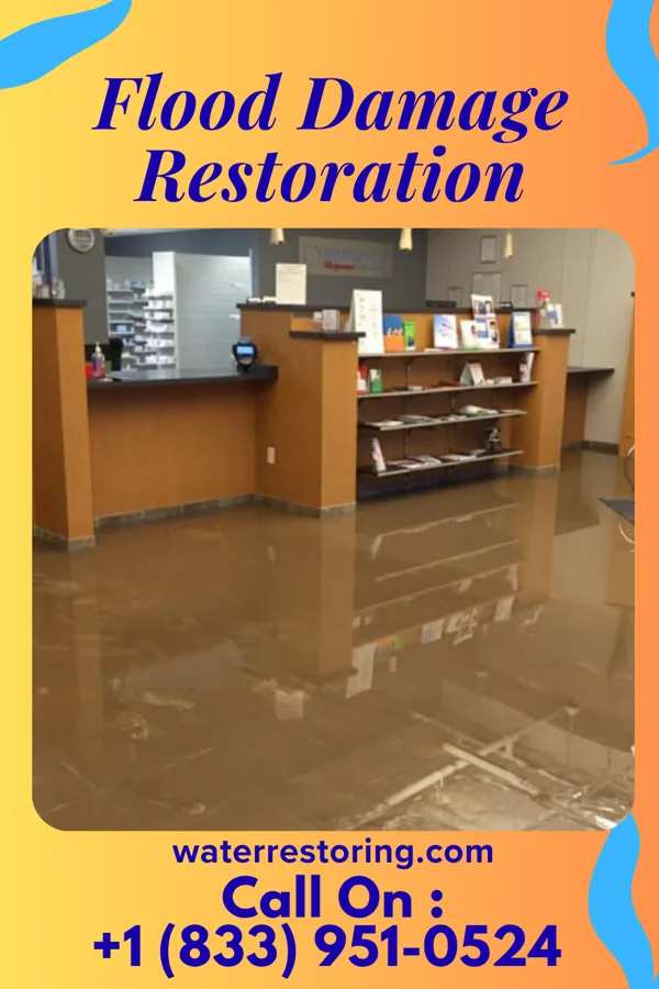 Flood Damage Restoration in Dallas City, IL