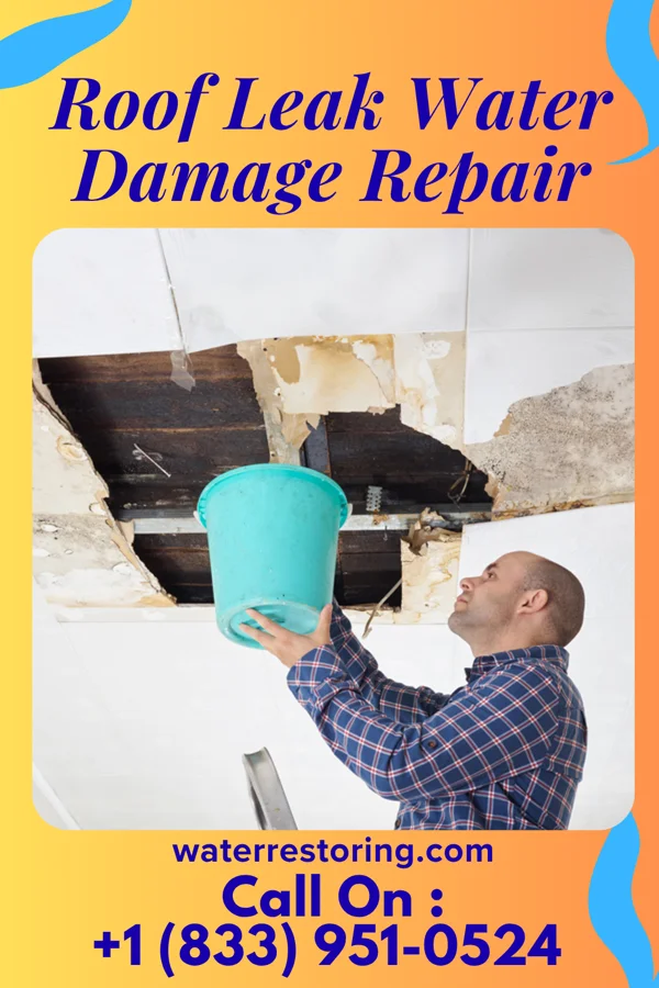 Roof Leak Water Damage Repair in Dallas City, IL